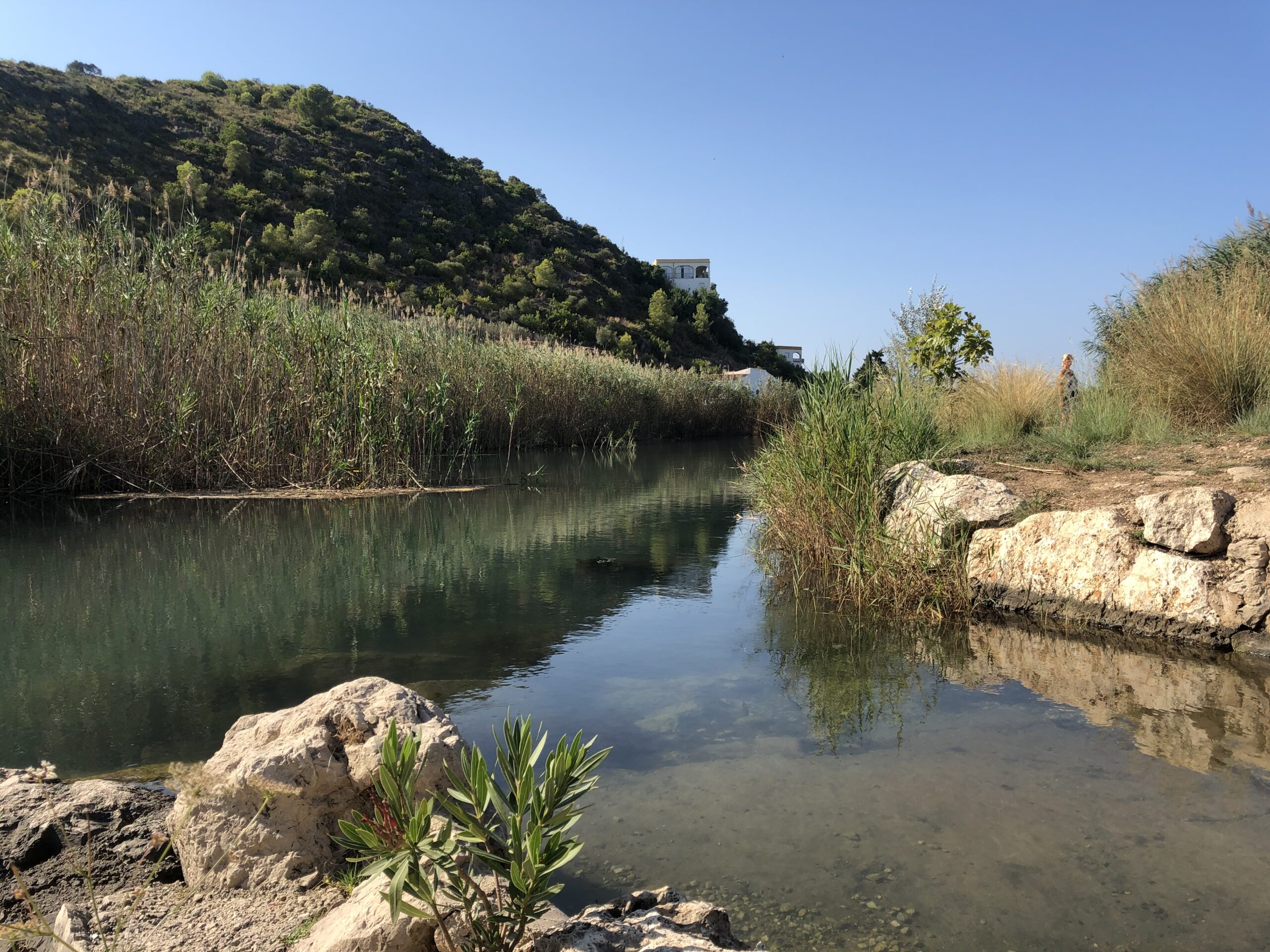 697CDAFC-2DC1-45E1-8155-8E017F6B3CA4