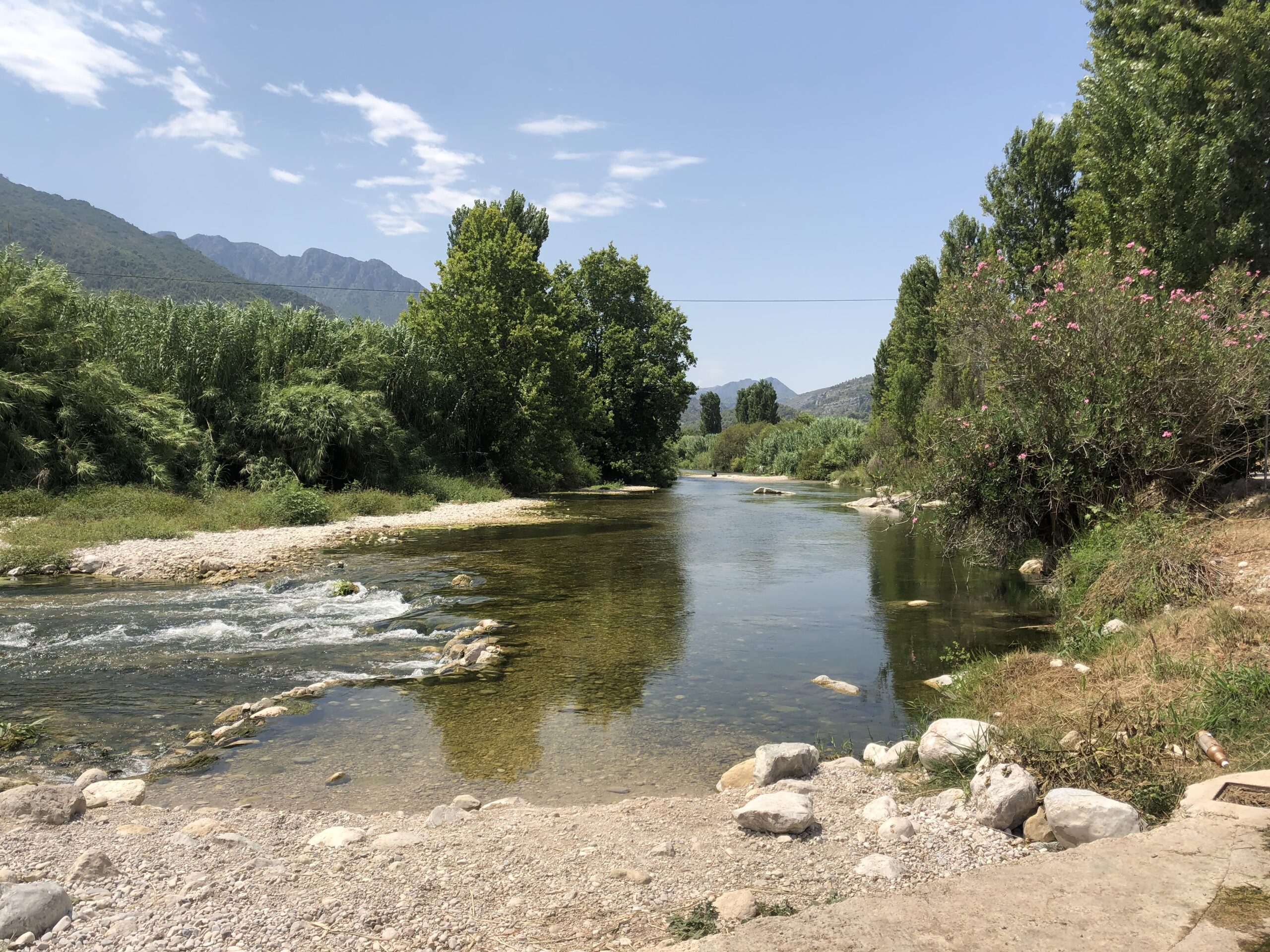 88D51B14-28F7-460A-BCCC-309F07F69FC5